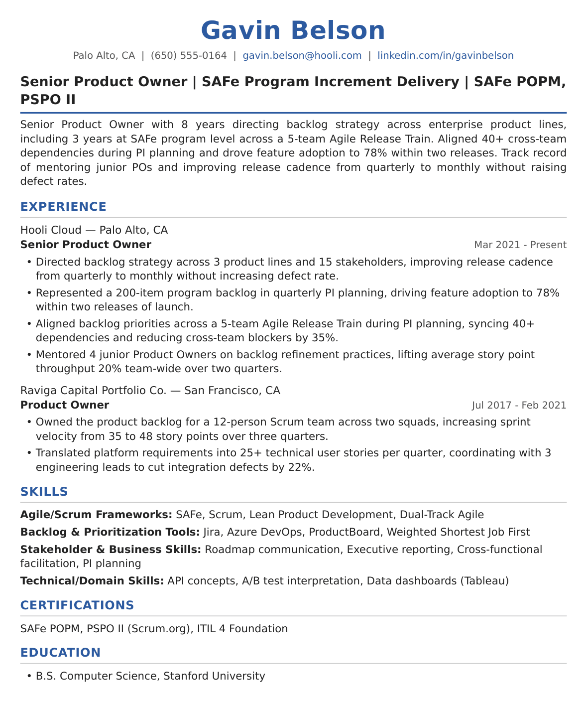 Senior Product Owner Resume Example