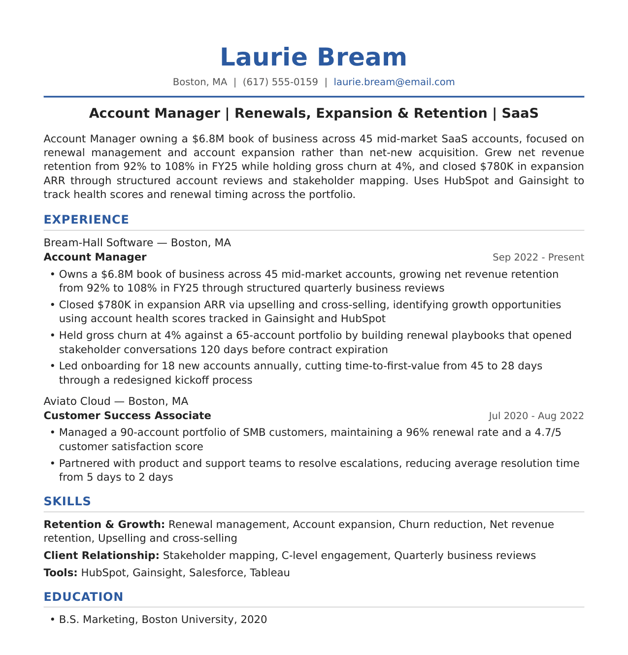 Account Manager Resume Example