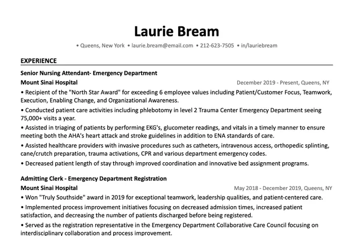 Nursing Resume Template example, Word template version